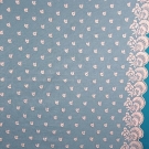 CREAM NEEDLE-RUN SHAWL, 1830s