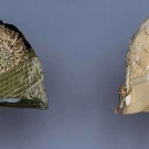 TWO EMBROIDERED CLOCHES, 1920s