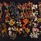 DEADSTOCK MILLINERY BERRIES & BLOSSOMS, EARLY-MID 20TH C